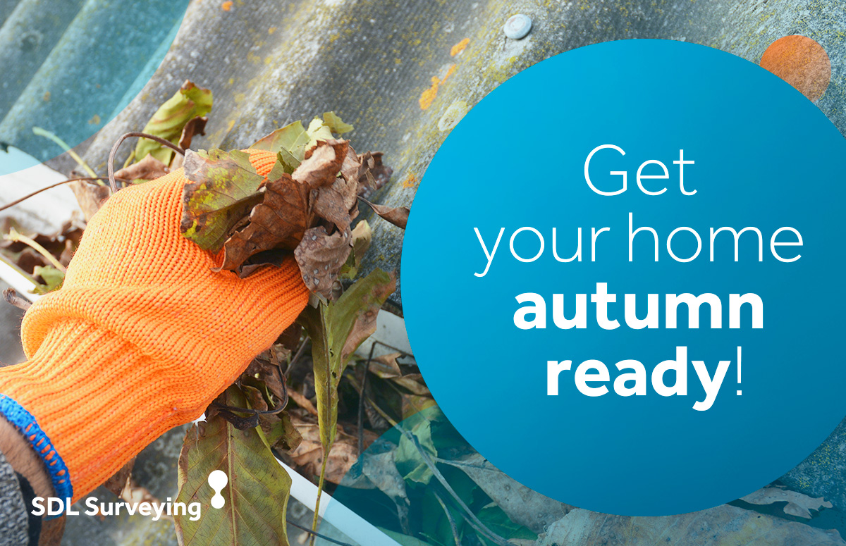 Why are autumn leaves bad for your drains? SDL Surveying